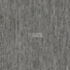 Линолеум Tarkett iq Optima BEIGE GREY 0874 фото 1 | FLOORDEALER